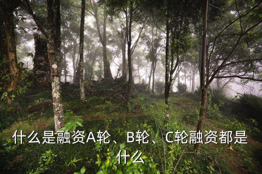 什么是融資A輪、B輪、C輪融資都是什么