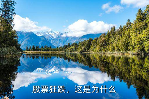 股票狂跌，這是為什么