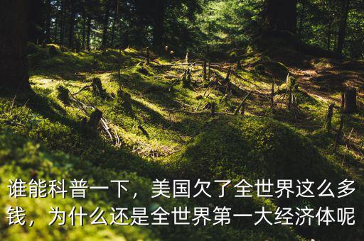 誰(shuí)能科普一下，美國(guó)欠了全世界這么多錢，為什么還是全世界第一大經(jīng)濟(jì)體呢