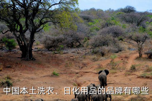 中國(guó)本土日化品牌為什么做不起來,日化用品的品牌有哪些