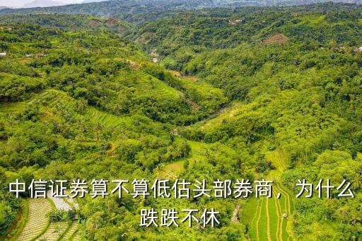 中信證券算不算低估頭部券商，為什么跌跌不休