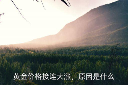 黃金價(jià)格接連大漲，原因是什么