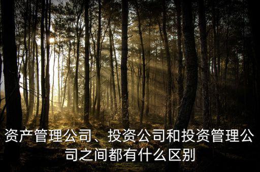 資產(chǎn)管理公司、投資公司和投資管理公司之間都有什么區(qū)別
