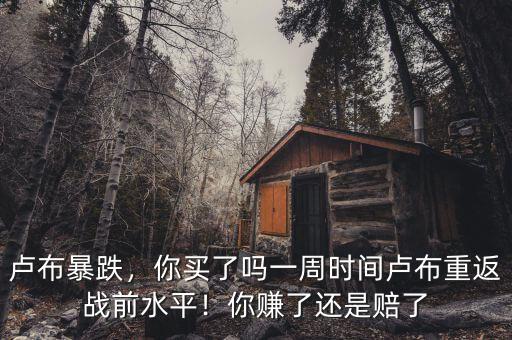 盧布暴跌，你買了嗎一周時間盧布重返戰(zhàn)前水平！你賺了還是賠了