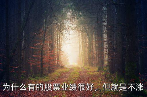 為什么有的股票業(yè)績很好，但就是不漲