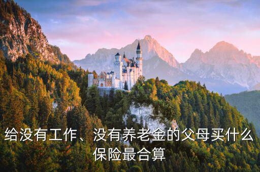 給沒有工作、沒有養(yǎng)老金的父母買什么保險最合算