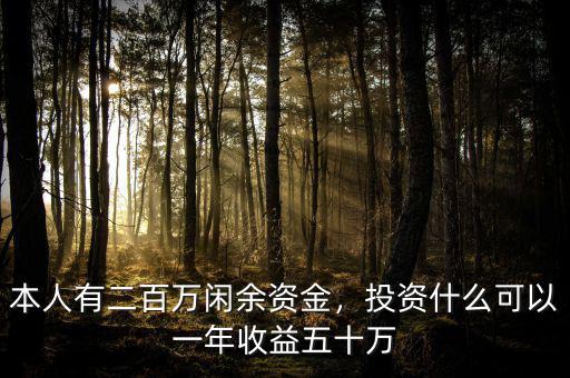 本人有二百萬閑余資金，投資什么可以一年收益五十萬