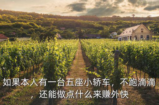 如果本人有一臺(tái)五座小轎車(chē)，不跑滴滴，還能做點(diǎn)什么來(lái)賺外快