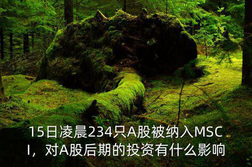 15日凌晨234只A股被納入MSCI，對(duì)A股后期的投資有什么影響