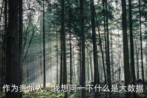 貴州大數(shù)據產業(yè)是什么,我想問一下什么是大數(shù)據