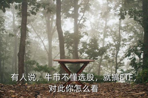 有人說，牛市不懂選股，就搞ETF，對此你怎么看