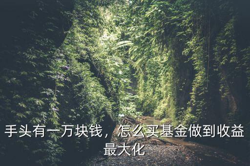 手頭有一萬塊錢，怎么買基金做到收益最大化