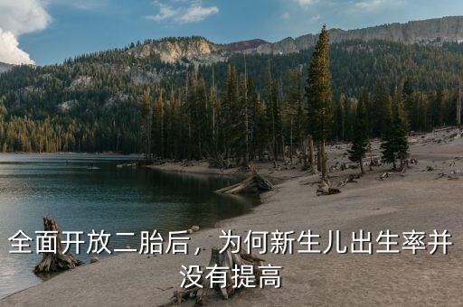 全面開放二胎后，為何新生兒出生率并沒有提高