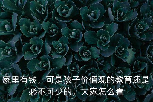 家里有錢，可是孩子價值觀的教育還是必不可少的，大家怎么看