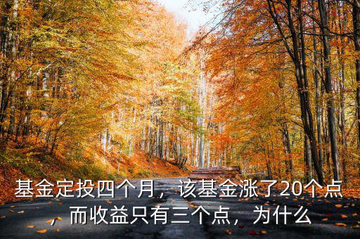 基金定投四個(gè)月，該基金漲了20個(gè)點(diǎn)，而收益只有三個(gè)點(diǎn)，為什么