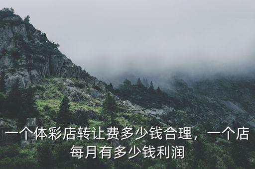 一個體彩店轉(zhuǎn)讓費多少錢合理，一個店每月有多少錢利潤