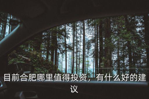目前合肥哪里值得投資，有什么好的建議