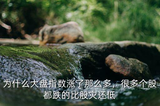 為什么大盤指數(shù)漲了那么多，很多個(gè)股都跌的比股災(zāi)還低