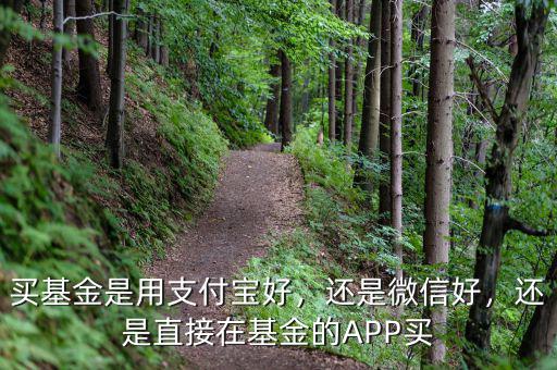 買基金是用支付寶好，還是微信好，還是直接在基金的APP買
