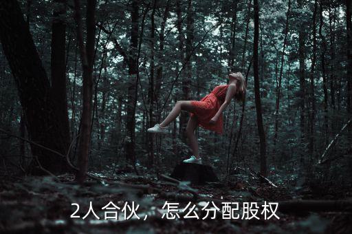 2人合伙，怎么分配股權(quán)