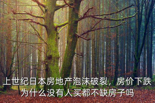 上世紀(jì)日本房地產(chǎn)泡沫破裂，房?jī)r(jià)下跌為什么沒(méi)有人買(mǎi)都不缺房子嗎
