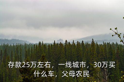 存款25萬左右，一線城市，30萬買什么車，父母農(nóng)民