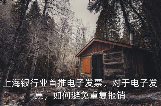 上海銀行業(yè)首推電子發(fā)票，對于電子發(fā)票，如何避免重復(fù)報銷