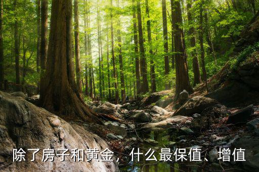 除了房子和黃金，什么最保值、增值
