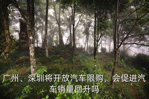 廣州、深圳將開放汽車限購，會促進(jìn)汽車銷量回升嗎