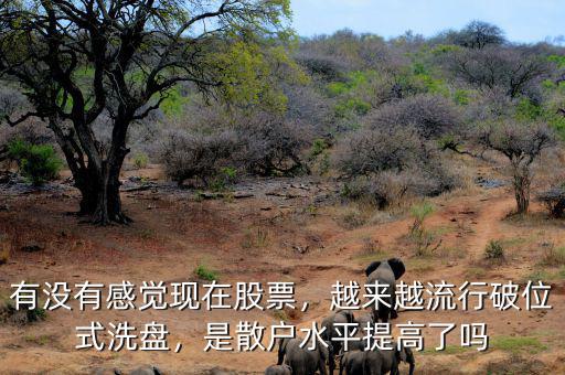有沒有感覺現(xiàn)在股票，越來越流行破位式洗盤，是散戶水平提高了嗎