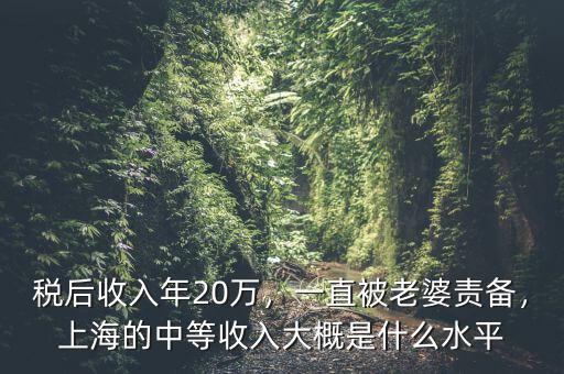 稅后收入年20萬，一直被老婆責備，上海的中等收入大概是什么水平