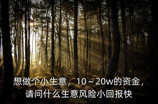 想做個小生意，10～20w的資金，請問什么生意風險小回報快