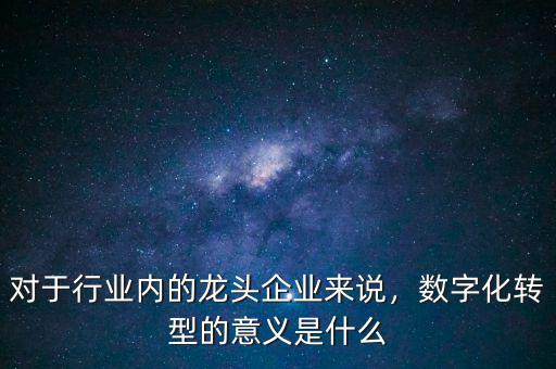 對于行業(yè)內(nèi)的龍頭企業(yè)來說，數(shù)字化轉(zhuǎn)型的意義是什么