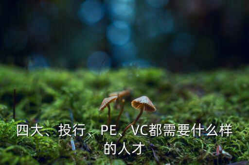 四大、投行、PE、VC都需要什么樣的人才
