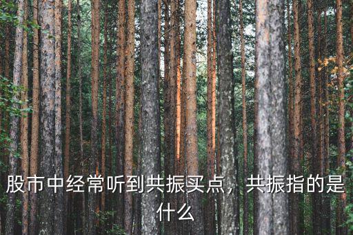 股市中經(jīng)常聽(tīng)到共振買點(diǎn)，共振指的是什么