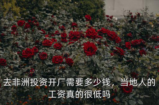 去非洲投資開(kāi)廠需要多少錢，當(dāng)?shù)厝说墓べY真的很低嗎