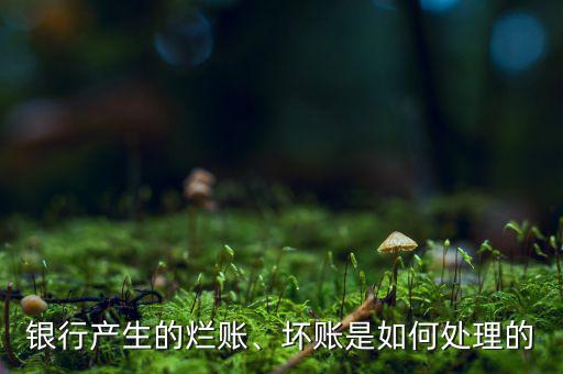 銀行產(chǎn)生的爛賬、壞賬是如何處理的