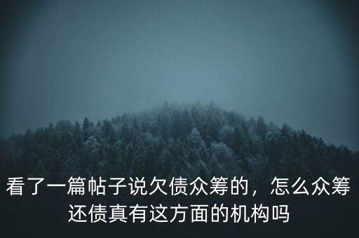 看了一篇帖子說欠債眾籌的，怎么眾籌還債真有這方面的機構嗎