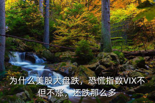 為什么美股大盤跌，恐慌指數(shù)VIX不但不漲，還跌那么多