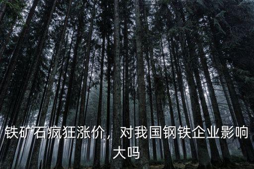 鐵礦石瘋狂漲價，對我國鋼鐵企業(yè)影響大嗎