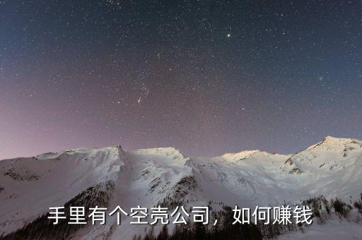 手里有個空殼公司，如何賺錢