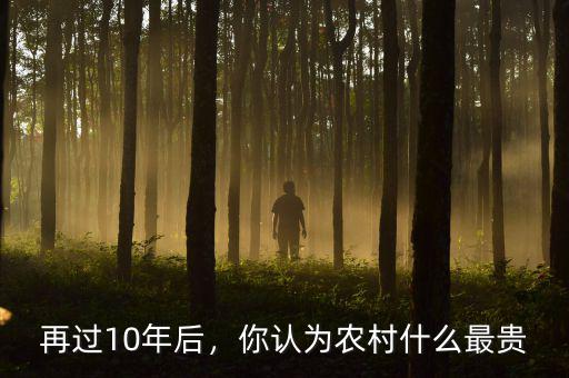 再過10年后，你認(rèn)為農(nóng)村什么最貴