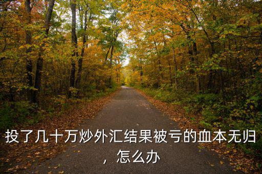 投了幾十萬炒外匯結(jié)果被虧的血本無歸，怎么辦