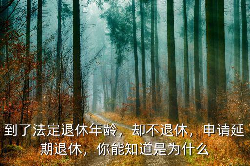 到了法定退休年齡，卻不退休，申請延期退休，你能知道是為什么
