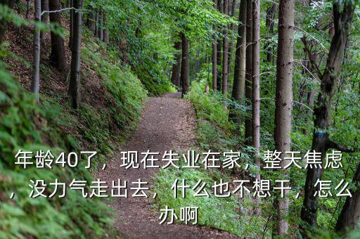 年齡40了，現(xiàn)在失業(yè)在家，整天焦慮，沒力氣走出去，什么也不想干，怎么辦啊