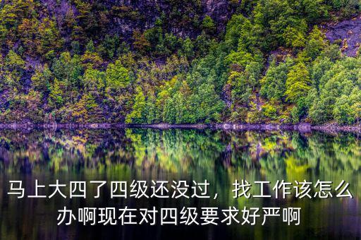 馬上大四了四級還沒過，找工作該怎么辦啊現(xiàn)在對四級要求好嚴(yán)啊