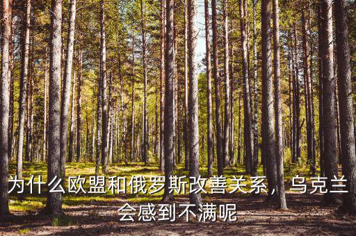 烏克蘭為什么對(duì)俄羅斯不滿(mǎn),烏克蘭會(huì)感到不滿(mǎn)呢