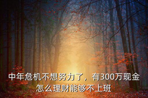 中年危機(jī)不想努力了，有300萬現(xiàn)金怎么理財(cái)能夠不上班