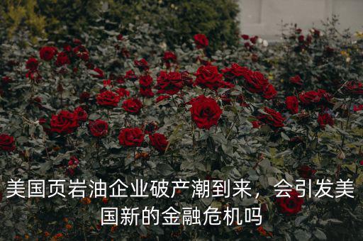 美國頁巖油企業(yè)破產潮到來，會引發(fā)美國新的金融危機嗎