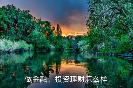做金融、投資理財(cái)怎么樣